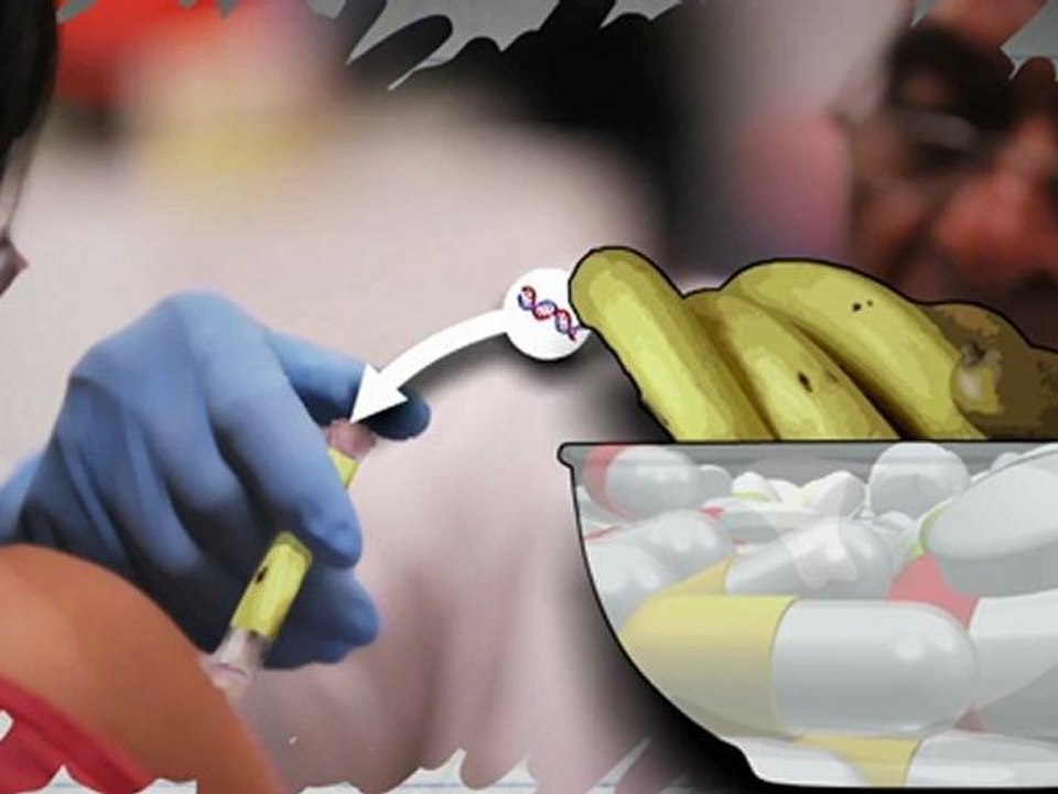 Genetic modification