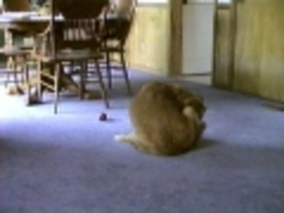 I got em.  I got em.