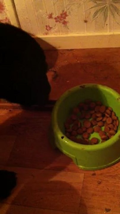 Hobby Basics: Discover Your Passion