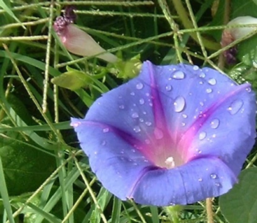 art and people and drawings