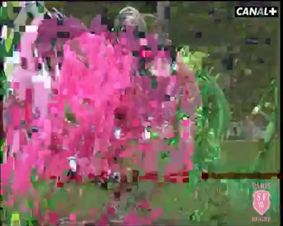 Discover our Shows - Stade Français Paris