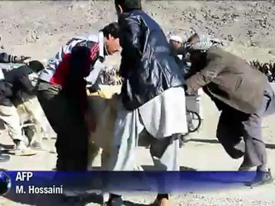 Resurgence of Dog Fights in Kabul Despite Past Ban