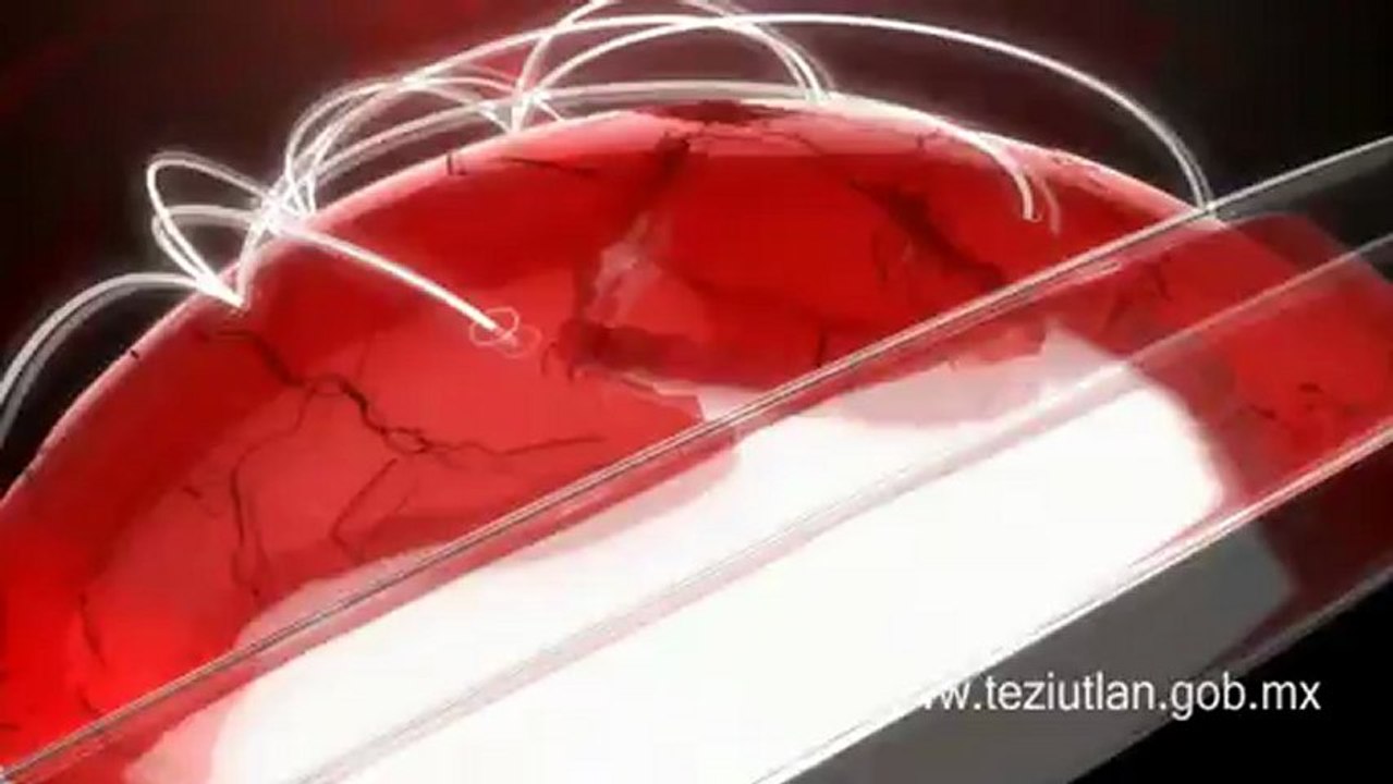 Ganadores de la olimpiada regional en matemáticas