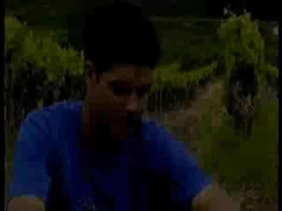 Leaps and bounds Trailer