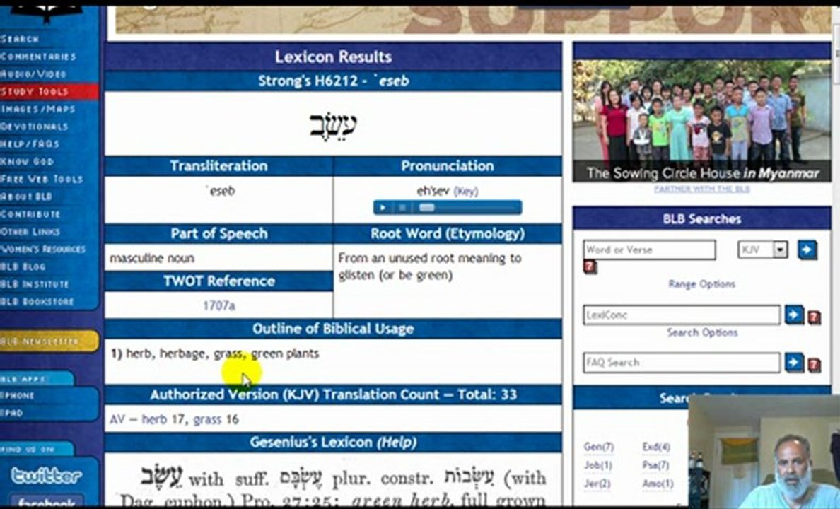 Discover the Power of Herbs: Why We Use Them 🌿