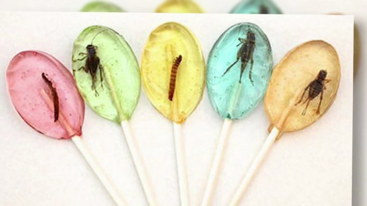 Angelina Jolie and Brad Pitt's Kids Eat Crickets Like Doritos