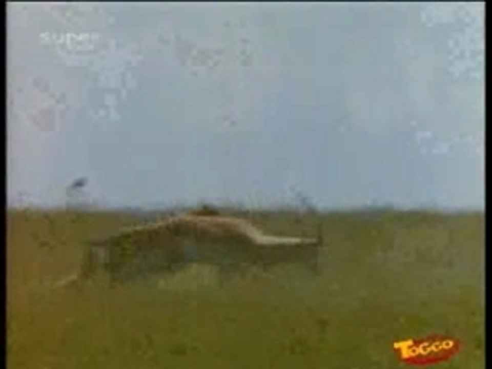 Was ist Was - Katzen (TV)