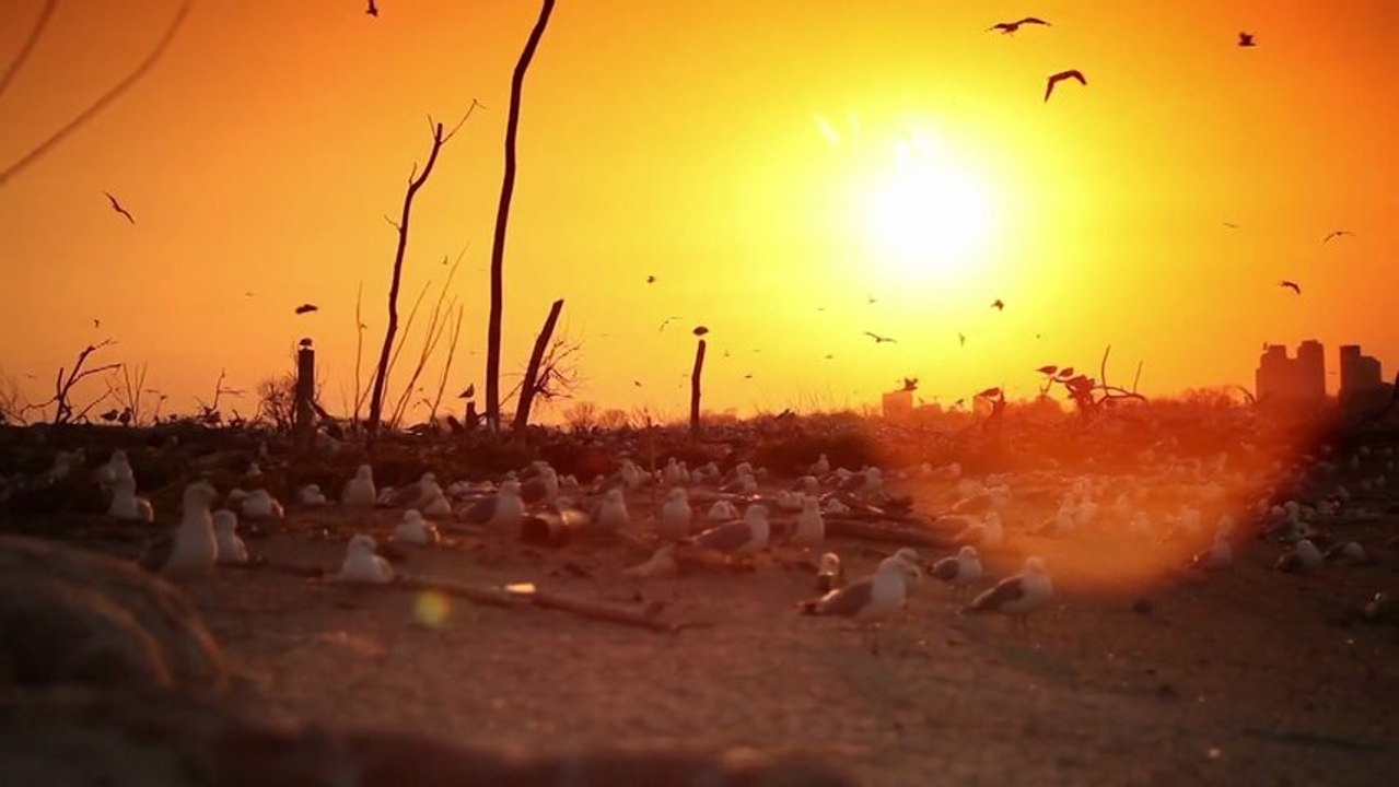 Showreel Cinematography 2012