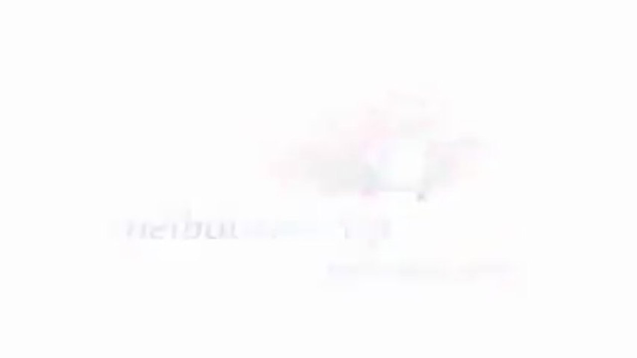 Melbourne Cup Carnival 2010