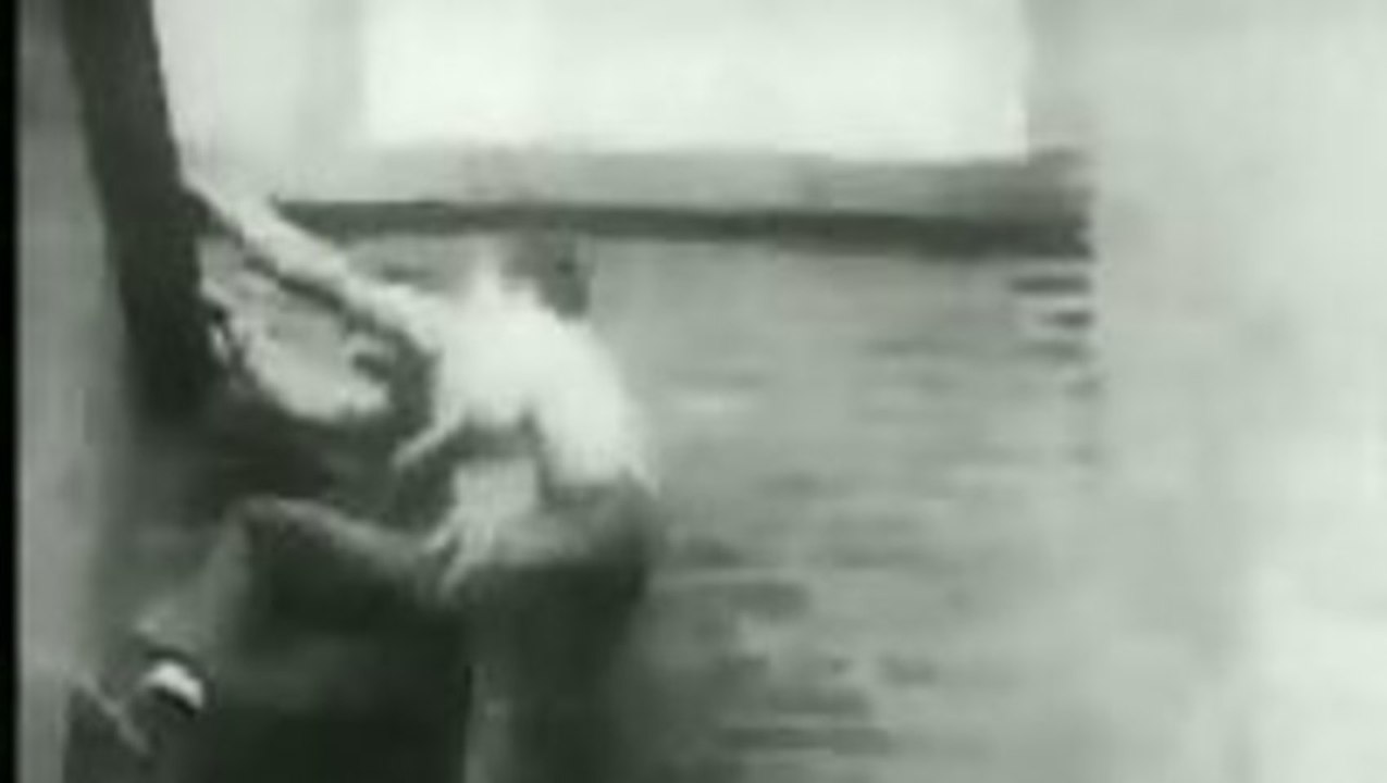 Parkour in the 1930s: A Historical Perspective