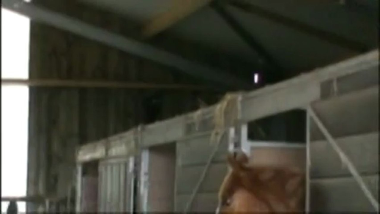 cohabitation risquée