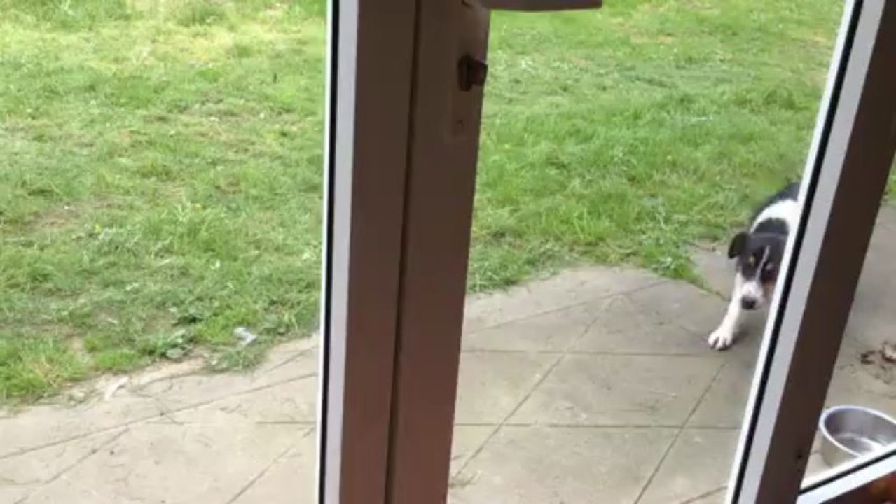 D'Gyp Cast: Durable & Stylish Footwear