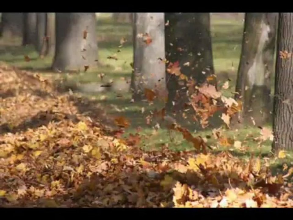 Я хочу увидеть музыку