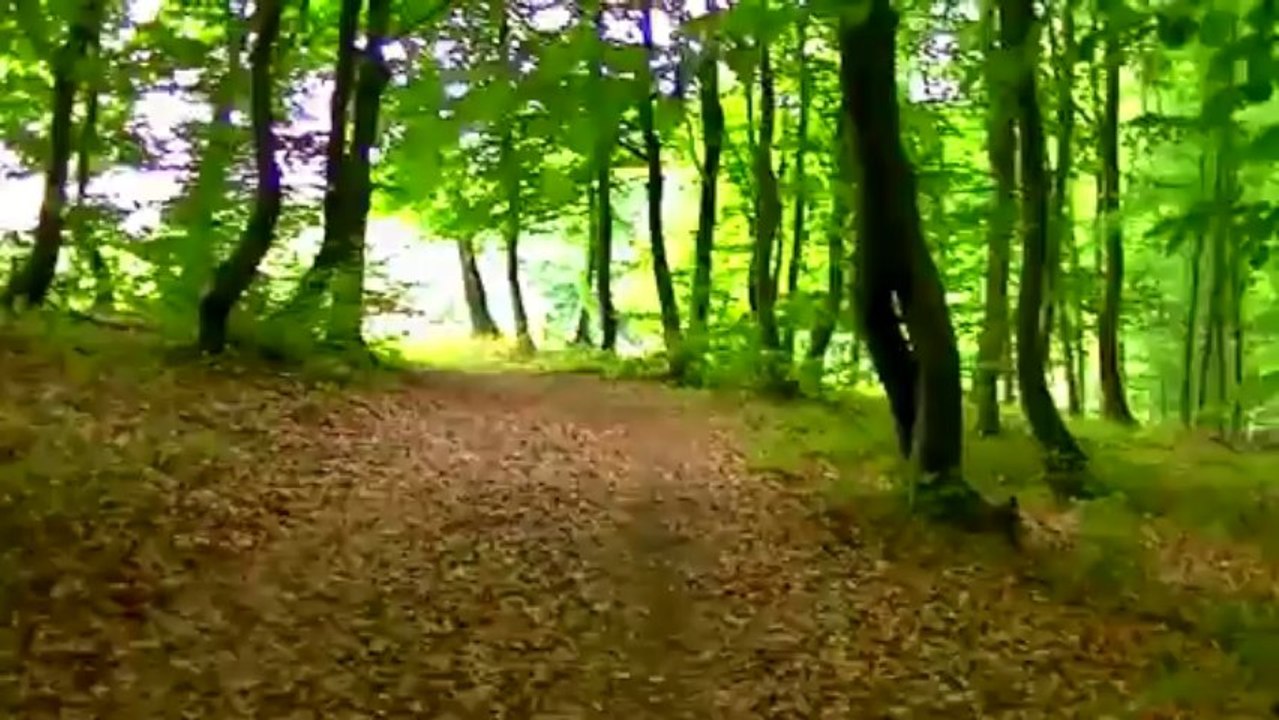 Top Paduraru Principles