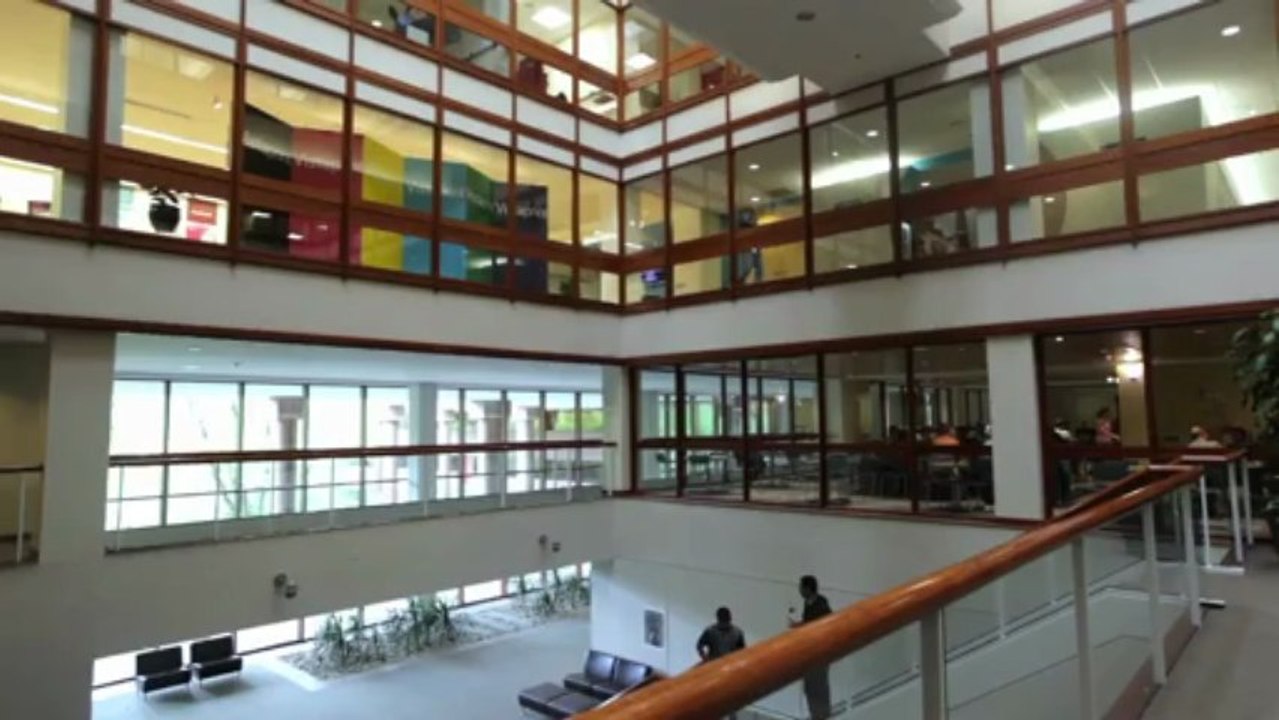 This Is A Meritocracy : A Computer Science Company