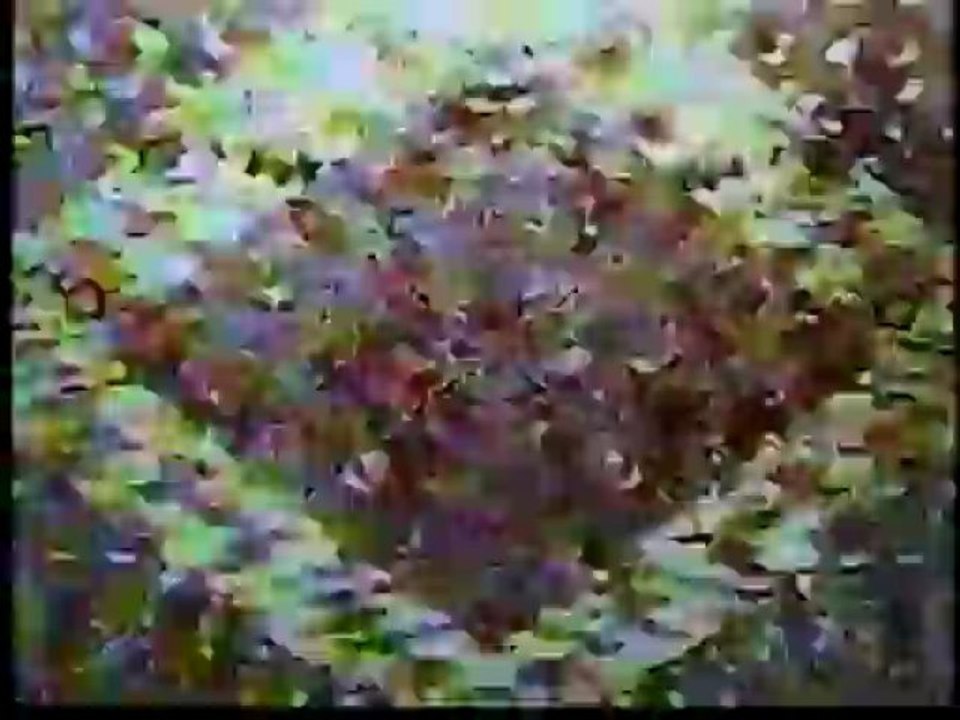 Superposition - Episode 30