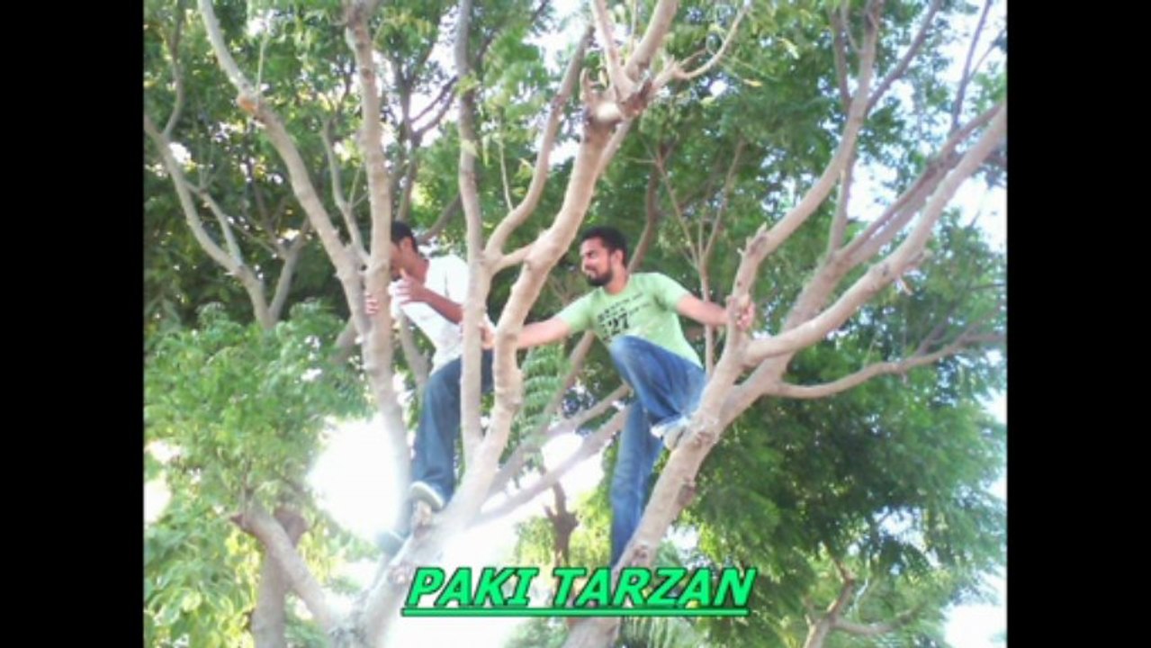 1 Unit 1 Team Overview