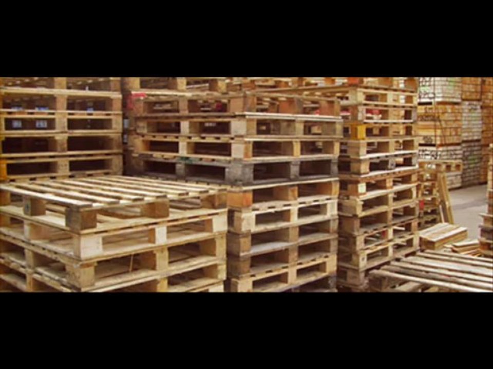 Market research companies