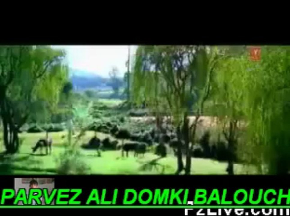 Indian Songs by Parvez Ali Domki 🎶