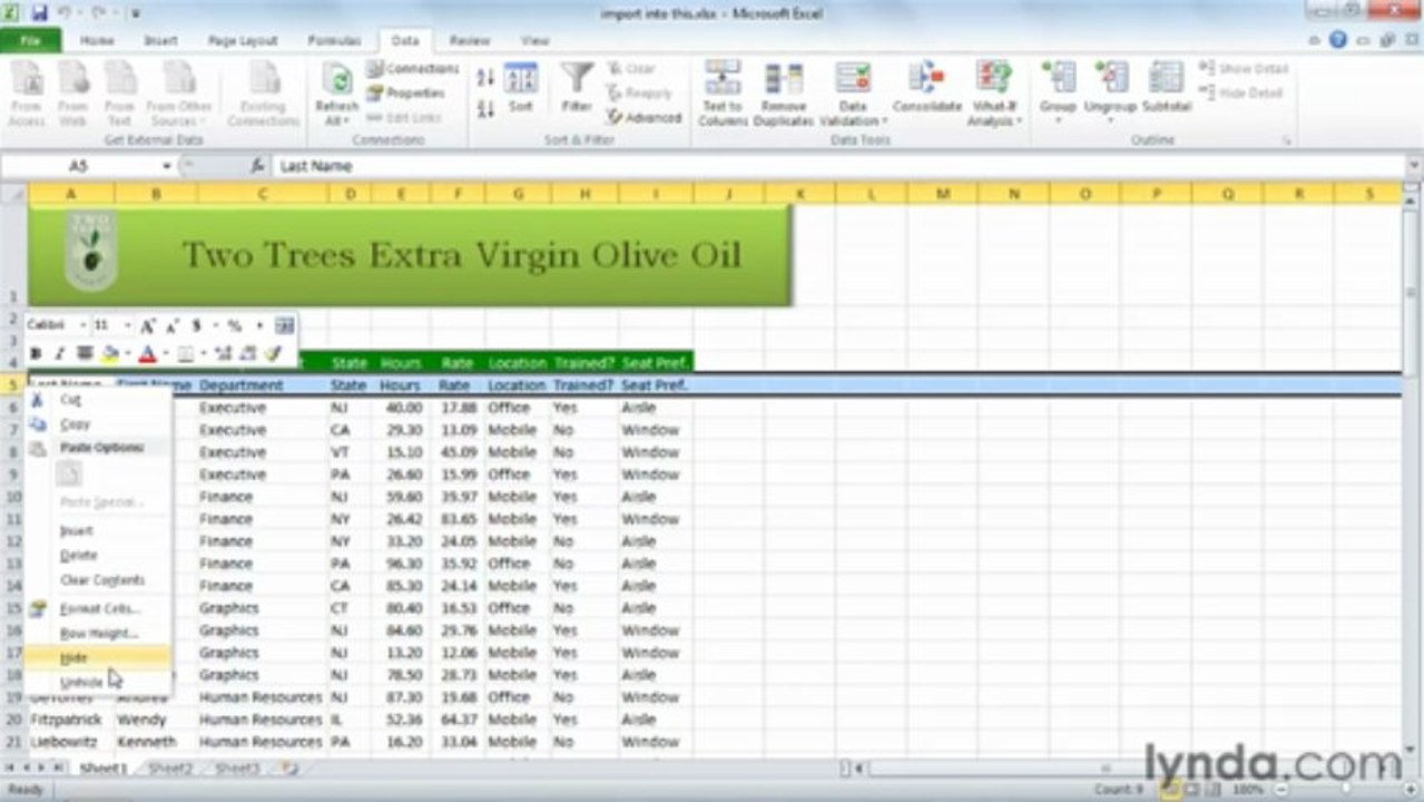0801 Importing and exporting data in Excel