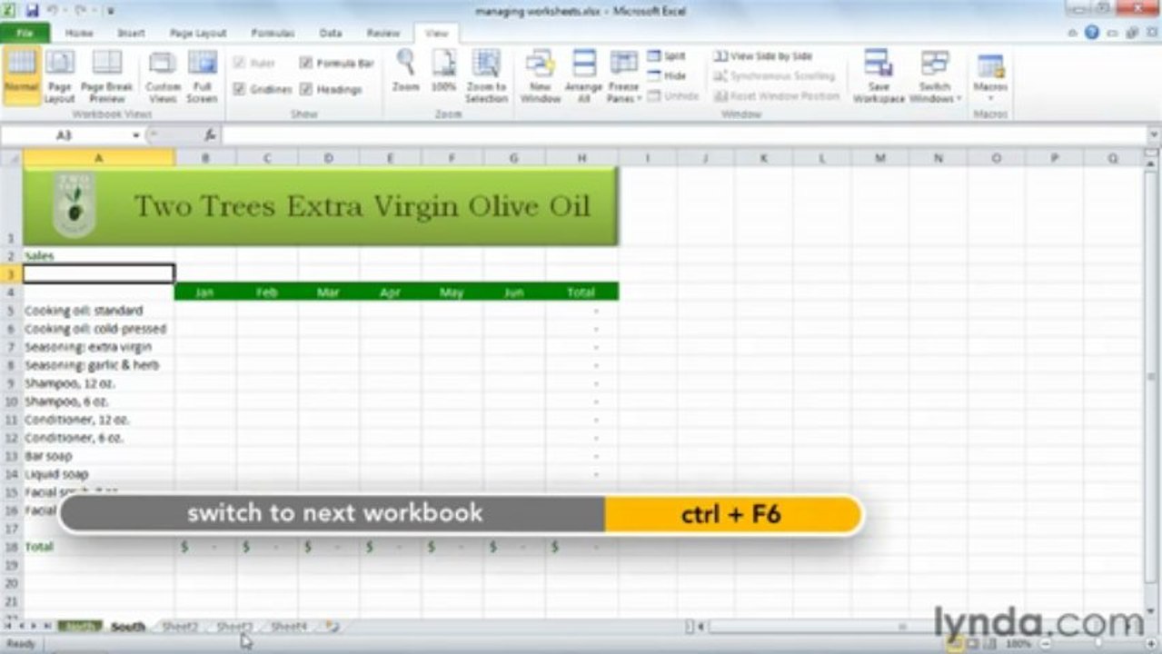 0706 Managing worksheets