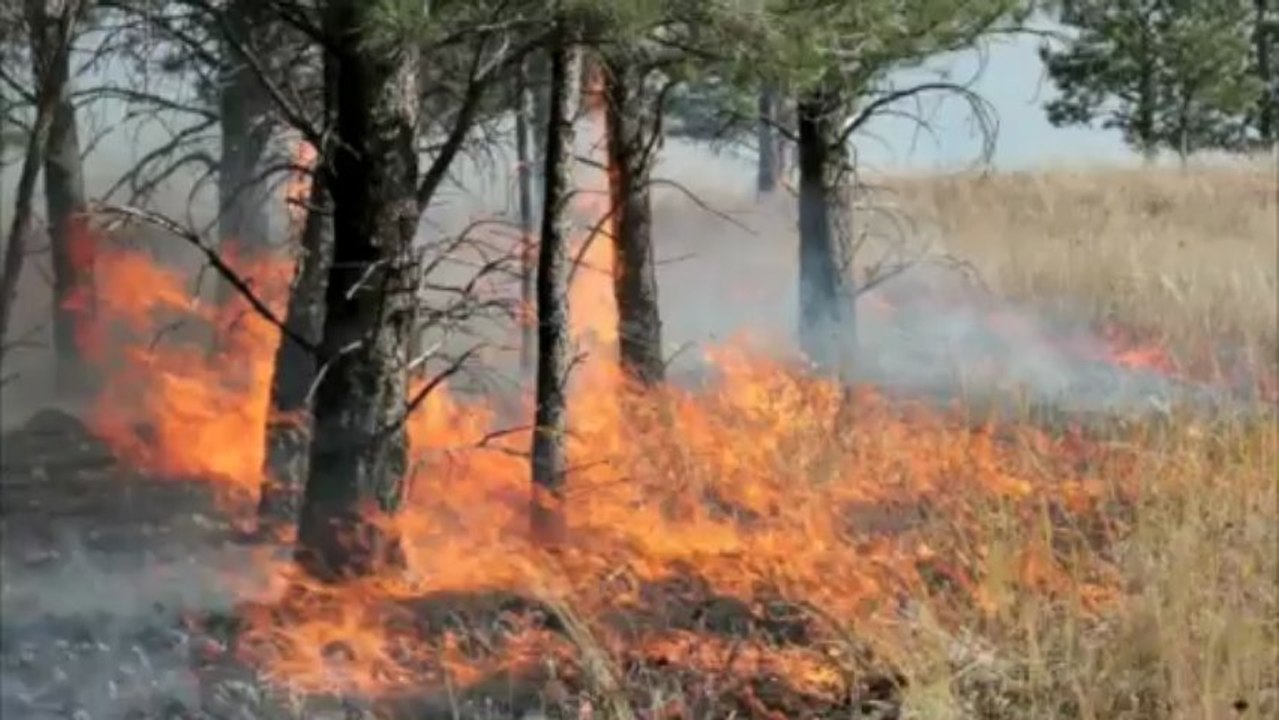 Your Families Safe Response To Disaster Lies In Preparedness