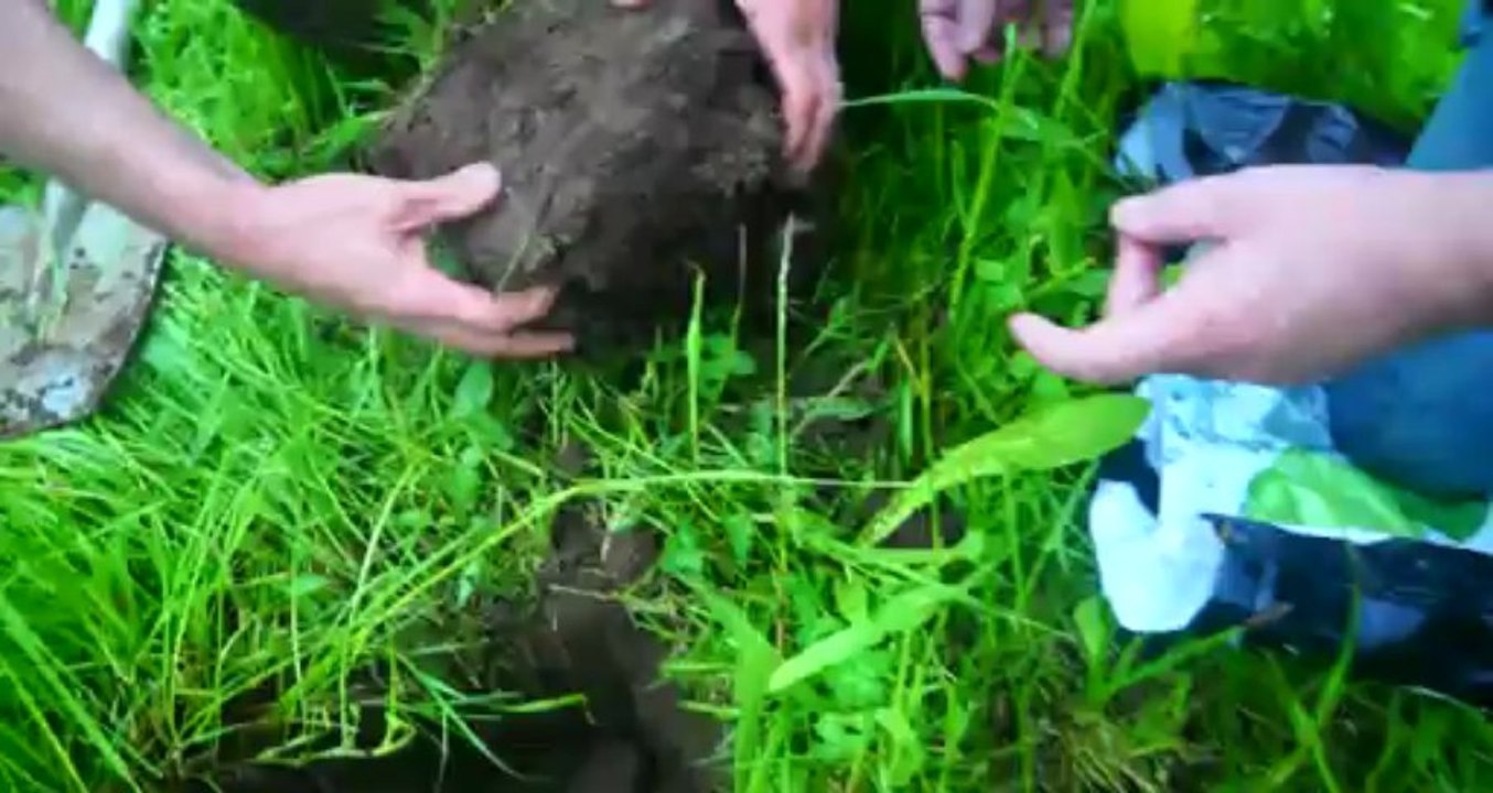 Colonisation des pivots