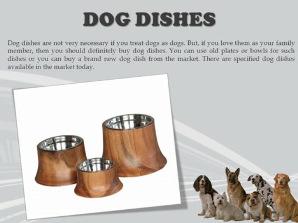Types Of Dog Supplies