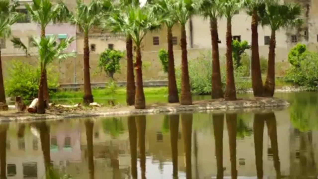 MOROCCAN DREAMSCAPES