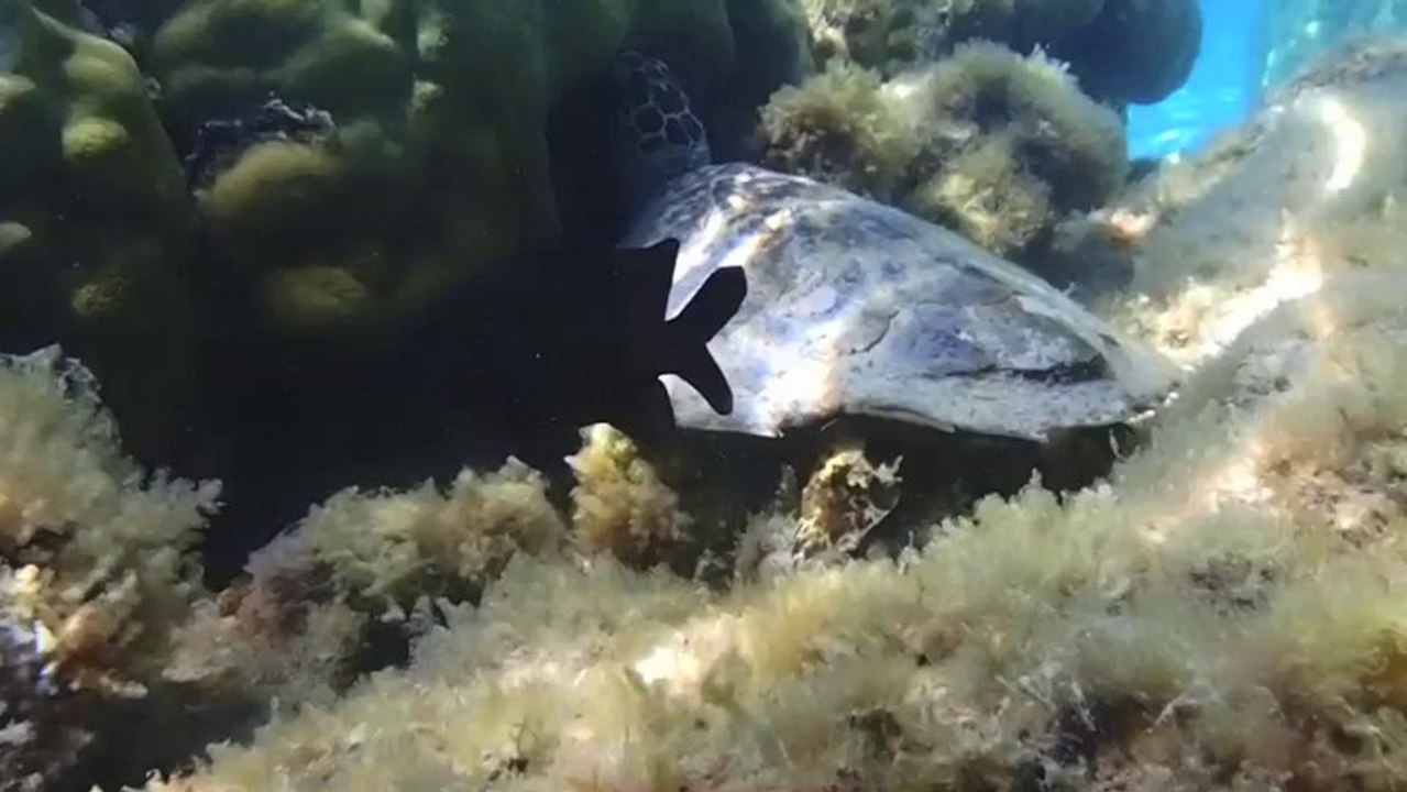 Our Life: A Journey of Moments