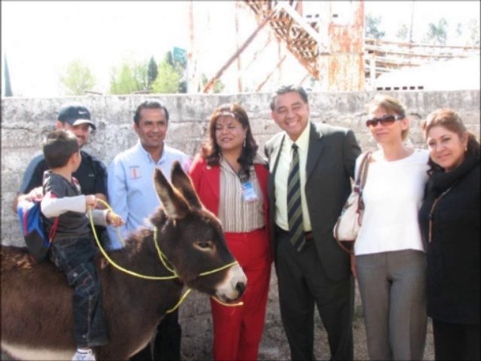 BURROS, PARA IR A LA ESCUELA