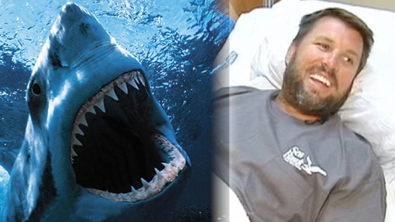 Florida Man's Shark Attack is Only His Latest Misfortune