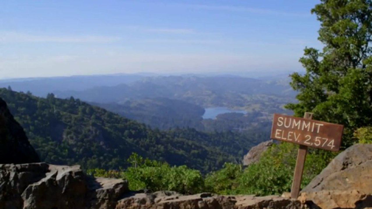 This is Google Drive