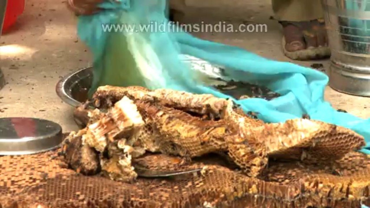 2094.Collecting honey-The traditional way