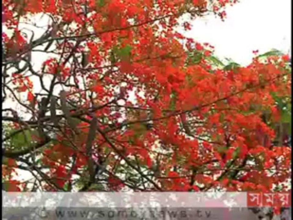 গানের কথা