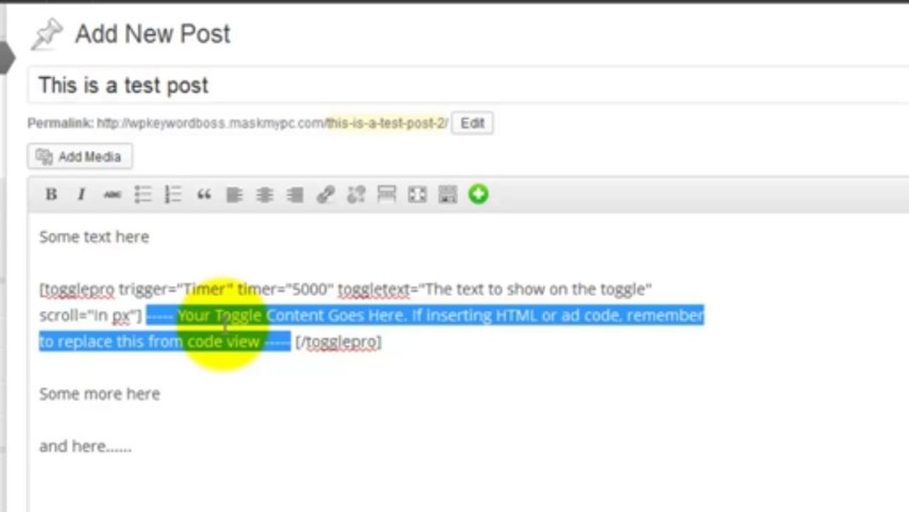 WP Toggle Pro Review