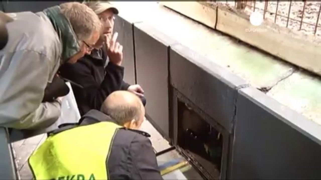 Siberian Tiger Rasputin Fatally Attacks Keeper in German Zoo