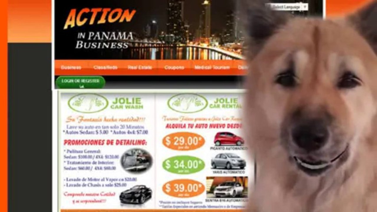 Business Networking  In Panama PanamaBusiness Networking