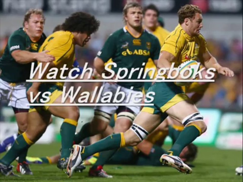 Springboks vs Wallabies Rugby Online