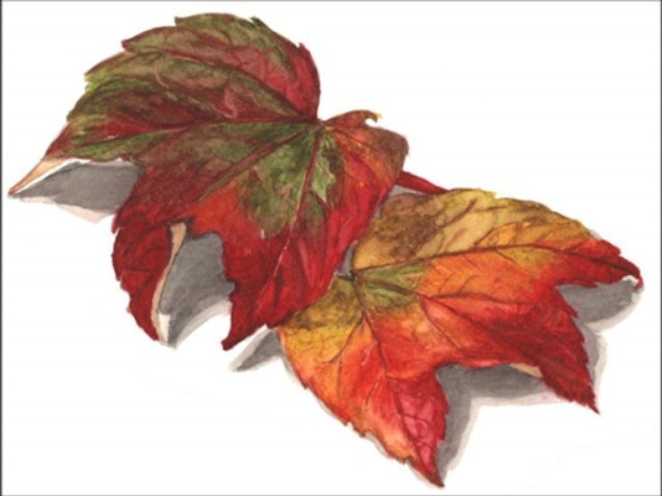 Mêmê Alan & Zîn Saz by Ehmedê Chep