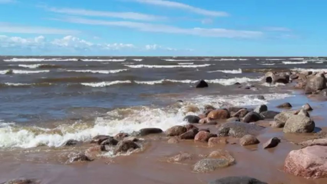 группа MODA На волне