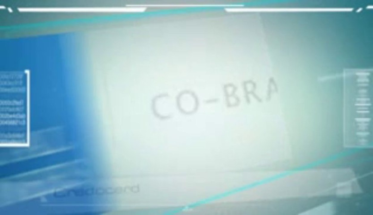 Credit Card Program for You