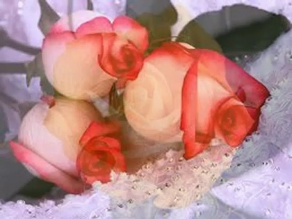 Fresh New Music Releases 🎵