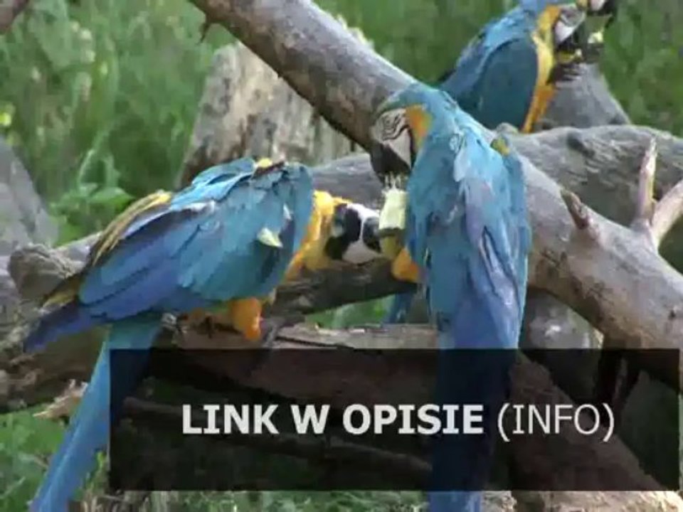 windows installer windows 7