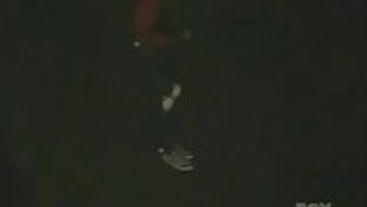 Dennis Rodman Stunt Epic Fail