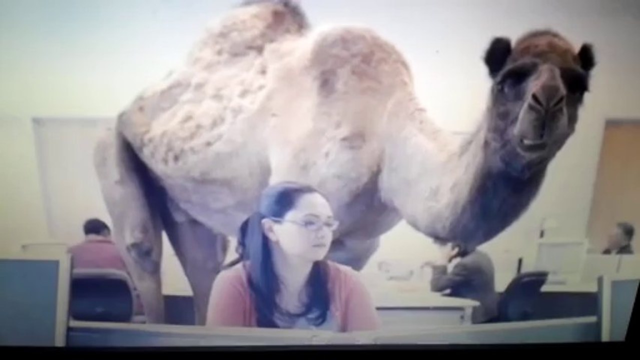 Guess who's fault it is!?  / its omaba's fault