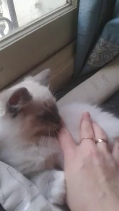 India: A Land of Diversity and Culture