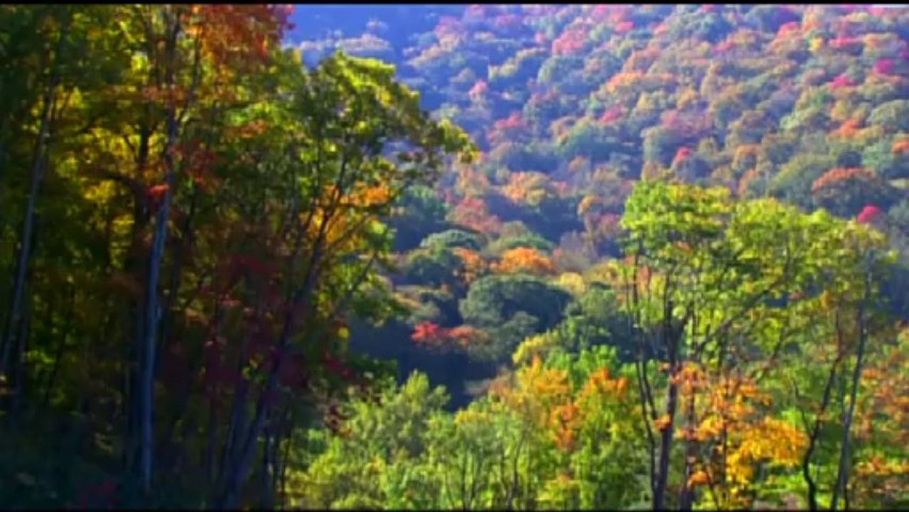 Mountain Air, North Carolina (Chinese Subtitle)