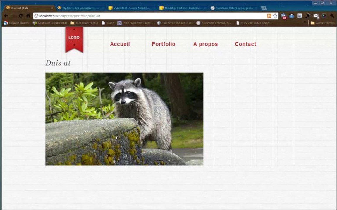 Tutoriel WordPress - Taxonomy