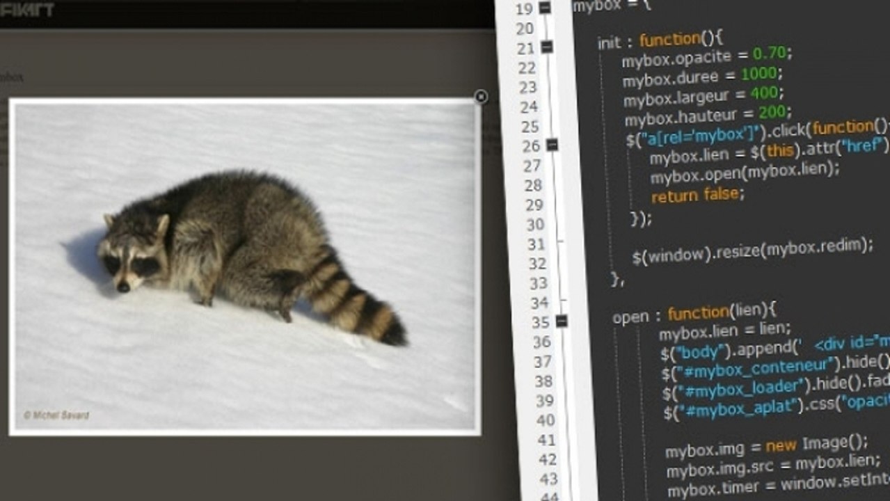 Tutoriel jQuery - Réaliser une Pop-in avec jQuery